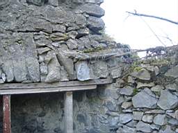 bellanamullia - 1119.JPG